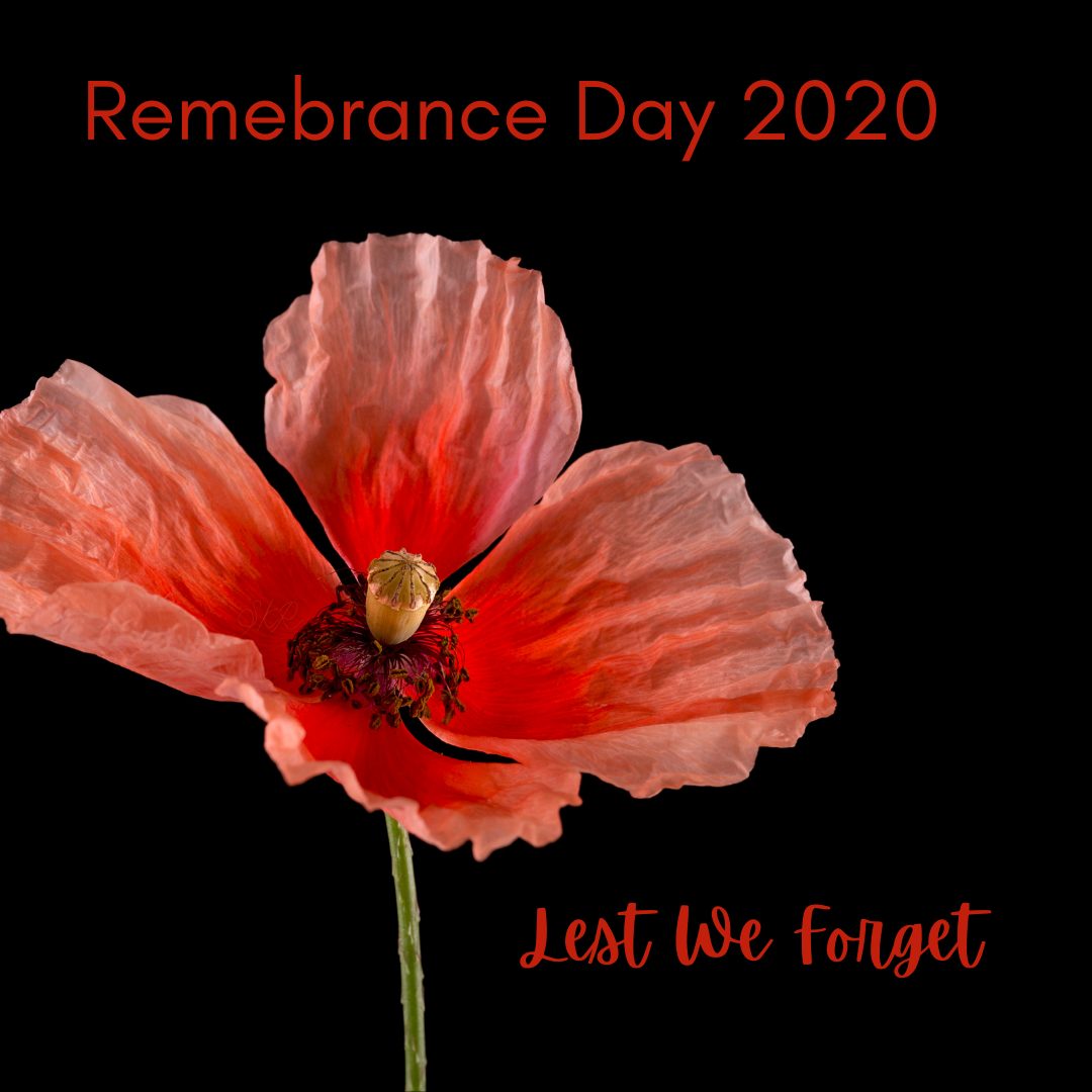 Remembrance Day 2020 reflects on what it means to commemorate this day