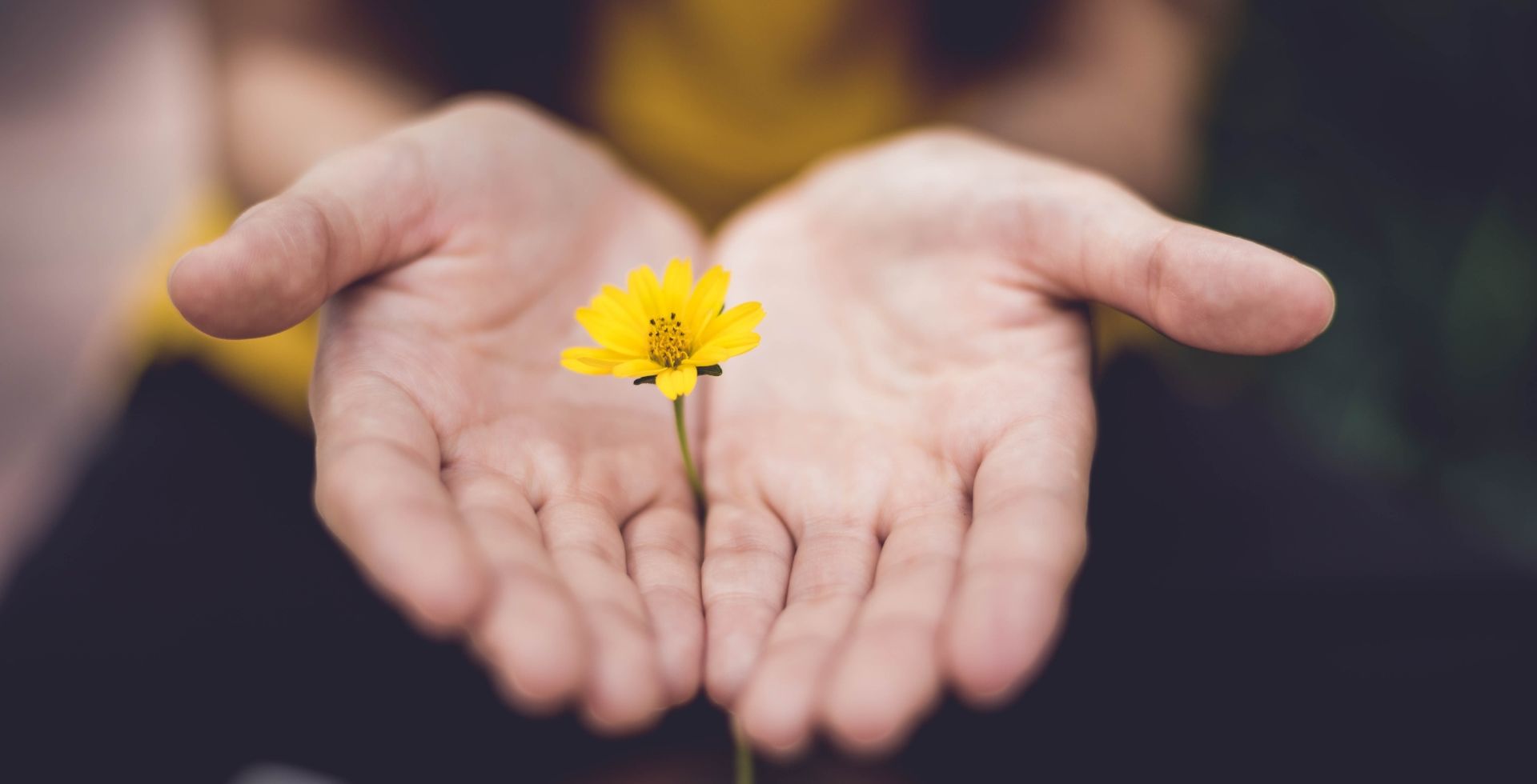 flower in hands